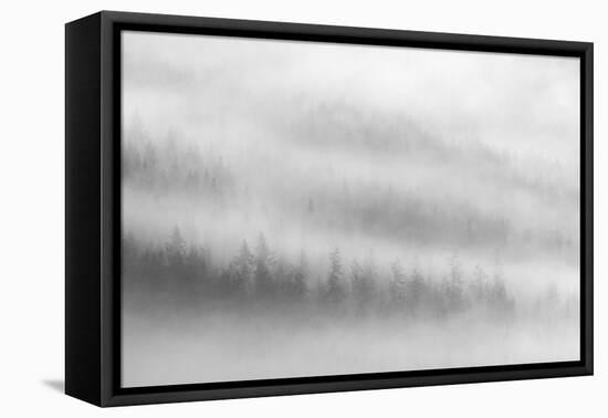 Fog-Ursula Abresch-Framed Premier Image Canvas