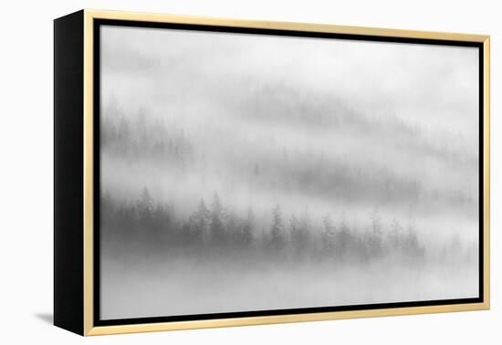 Fog-Ursula Abresch-Framed Premier Image Canvas