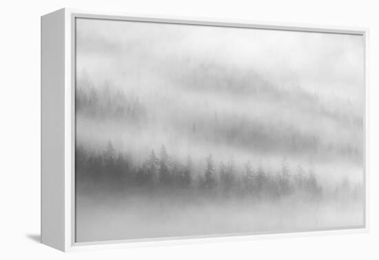 Fog-Ursula Abresch-Framed Premier Image Canvas