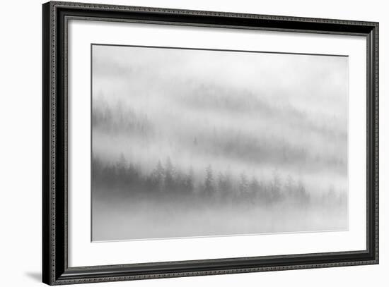 Fog-Ursula Abresch-Framed Photographic Print