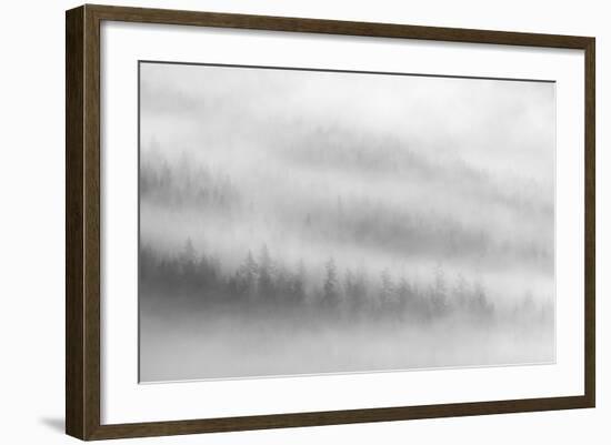 Fog-Ursula Abresch-Framed Photographic Print