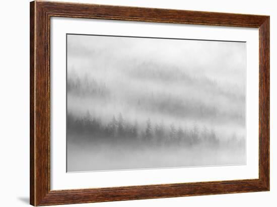 Fog-Ursula Abresch-Framed Photographic Print