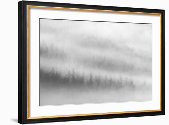 Fog-Ursula Abresch-Framed Photographic Print