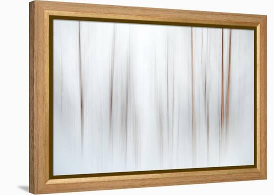 Fog-Ursula Abresch-Framed Premier Image Canvas