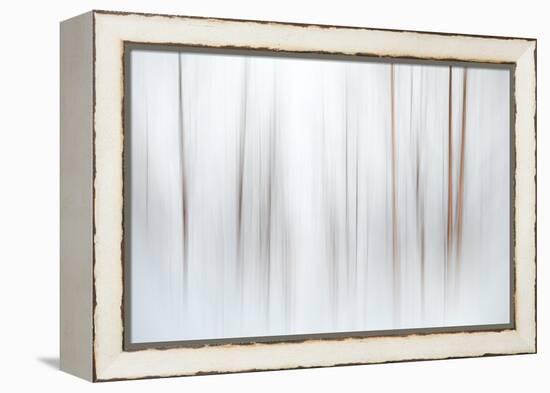 Fog-Ursula Abresch-Framed Premier Image Canvas