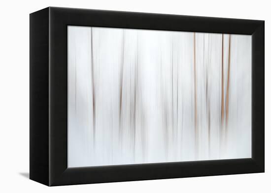 Fog-Ursula Abresch-Framed Premier Image Canvas