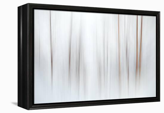 Fog-Ursula Abresch-Framed Premier Image Canvas