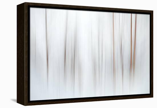 Fog-Ursula Abresch-Framed Premier Image Canvas