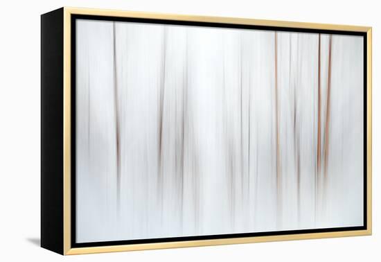 Fog-Ursula Abresch-Framed Premier Image Canvas