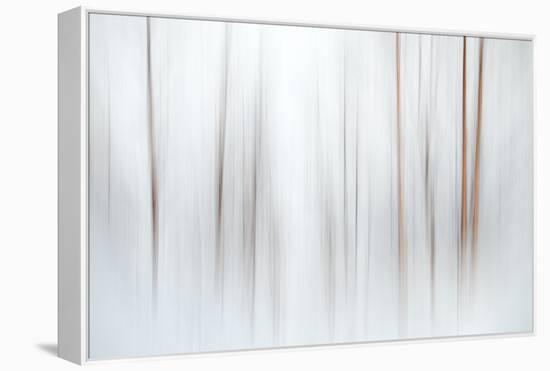 Fog-Ursula Abresch-Framed Premier Image Canvas