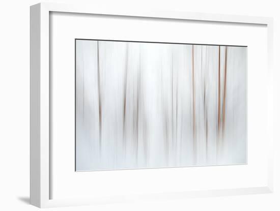 Fog-Ursula Abresch-Framed Photographic Print