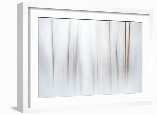 Fog-Ursula Abresch-Framed Photographic Print