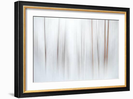 Fog-Ursula Abresch-Framed Photographic Print