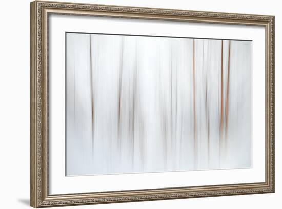 Fog-Ursula Abresch-Framed Premium Photographic Print