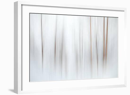 Fog-Ursula Abresch-Framed Premium Photographic Print