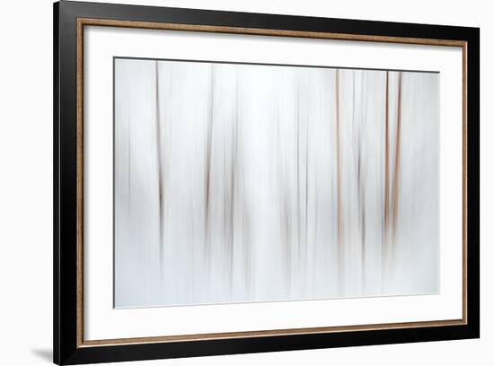 Fog-Ursula Abresch-Framed Premium Photographic Print