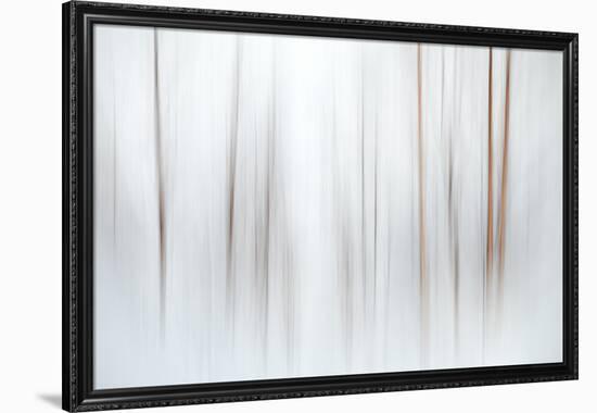 Fog-Ursula Abresch-Framed Photographic Print