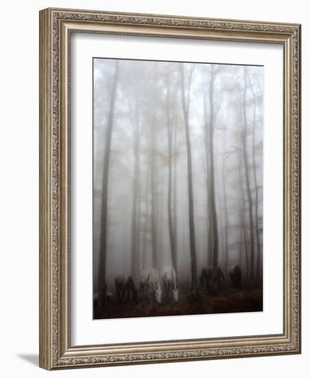 Fog-Francesco Martini-Framed Photographic Print