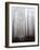 Fog-Francesco Martini-Framed Photographic Print