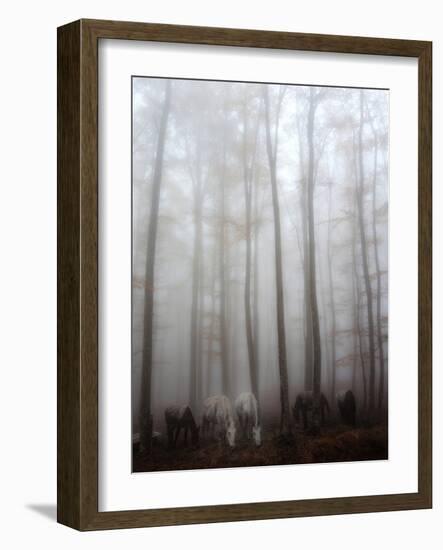 Fog-Francesco Martini-Framed Photographic Print