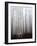 Fog-Francesco Martini-Framed Photographic Print