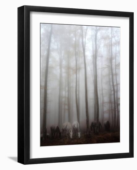 Fog-Francesco Martini-Framed Photographic Print