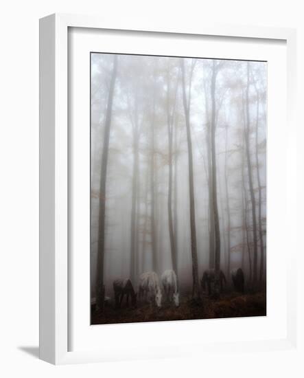 Fog-Francesco Martini-Framed Photographic Print