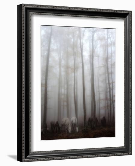 Fog-Francesco Martini-Framed Photographic Print