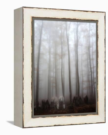 Fog-Francesco Martini-Framed Premier Image Canvas