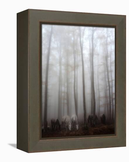 Fog-Francesco Martini-Framed Premier Image Canvas