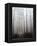 Fog-Francesco Martini-Framed Premier Image Canvas