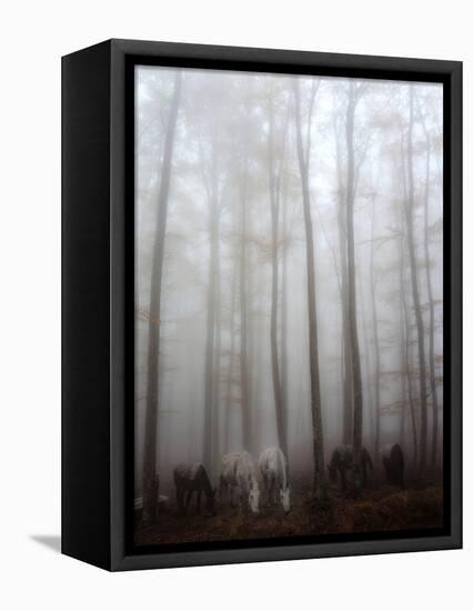 Fog-Francesco Martini-Framed Premier Image Canvas