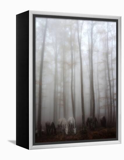 Fog-Francesco Martini-Framed Premier Image Canvas