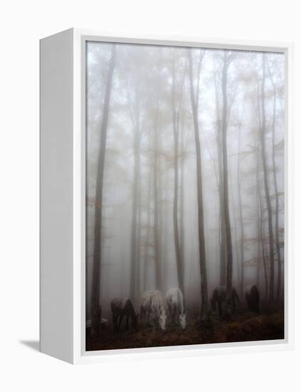 Fog-Francesco Martini-Framed Premier Image Canvas