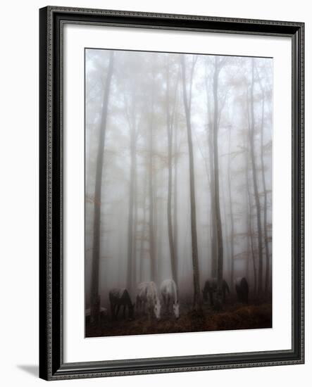 Fog-Francesco Martini-Framed Photographic Print