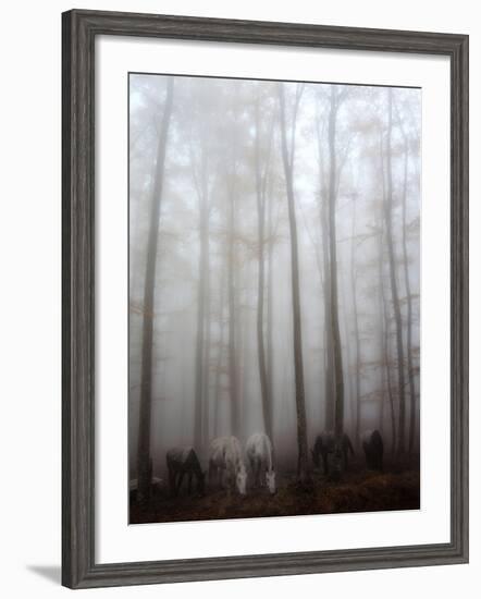 Fog-Francesco Martini-Framed Photographic Print