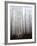 Fog-Francesco Martini-Framed Photographic Print