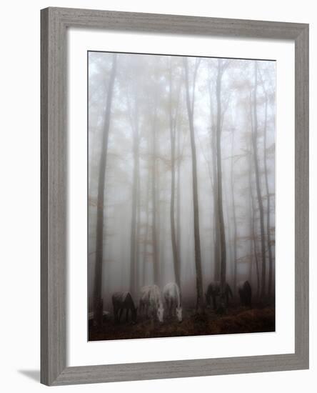 Fog-Francesco Martini-Framed Photographic Print