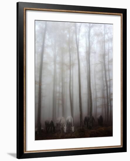 Fog-Francesco Martini-Framed Photographic Print