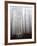 Fog-Francesco Martini-Framed Photographic Print