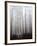 Fog-Francesco Martini-Framed Photographic Print