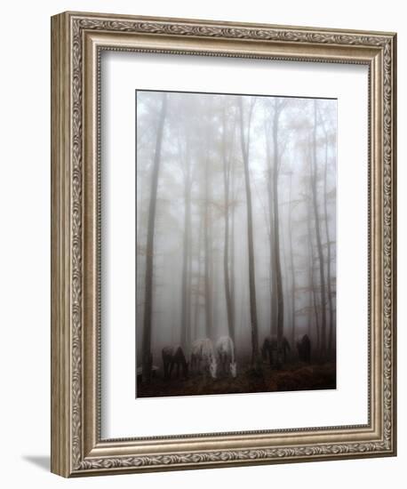 Fog-Francesco Martini-Framed Photographic Print