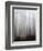 Fog-Francesco Martini-Framed Photographic Print