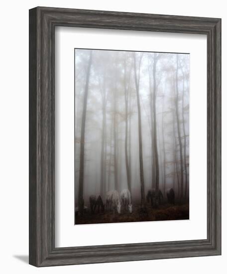 Fog-Francesco Martini-Framed Photographic Print