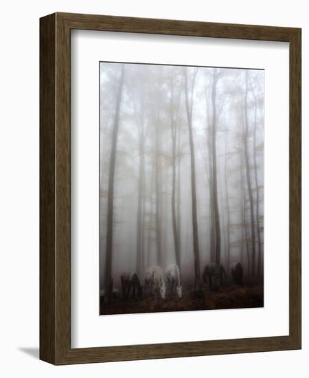 Fog-Francesco Martini-Framed Photographic Print