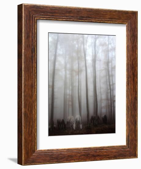 Fog-Francesco Martini-Framed Photographic Print