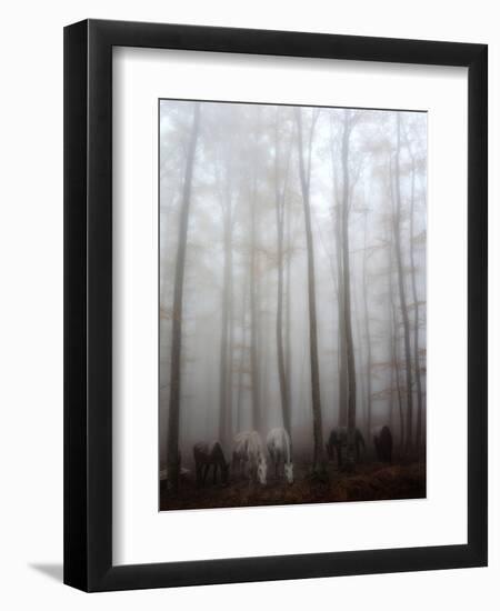 Fog-Francesco Martini-Framed Photographic Print