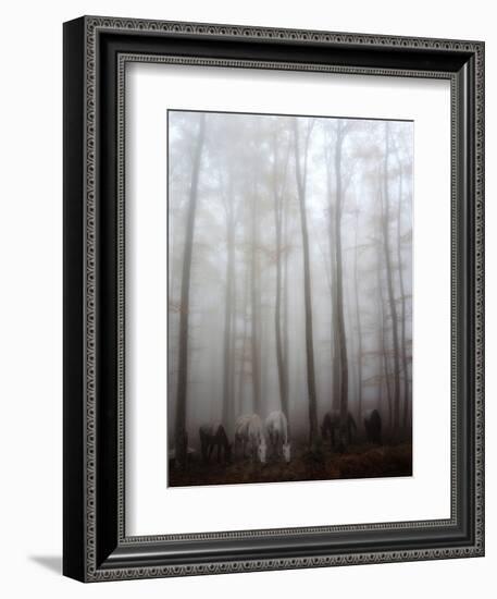 Fog-Francesco Martini-Framed Photographic Print