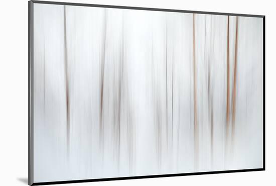 Fog-Ursula Abresch-Mounted Premium Photographic Print