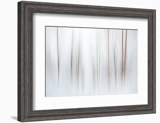 Fog-Ursula Abresch-Framed Photographic Print